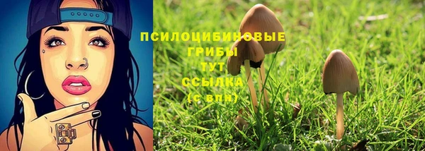 мет Абаза