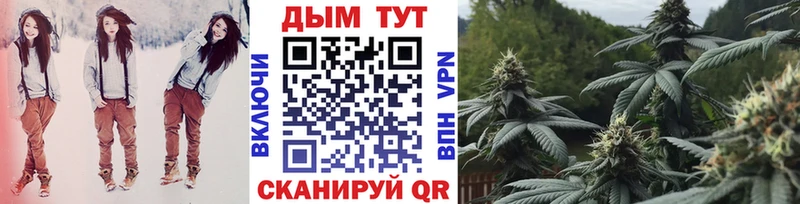 Бошки Шишки гибрид Яхрома